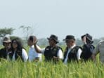 Jelang Perubahan HPP, Bulog Lakukan Monitoring Titik Panen