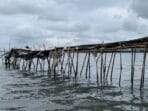 Pagar Laut Misterius Rugikan Kehidupan Nelayan