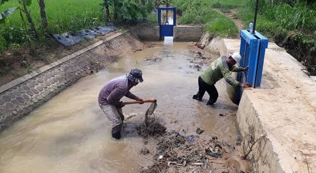 Para Pekerja OP SDA kembali bekerja setelah memperbaharui masa kontraknya (pu)