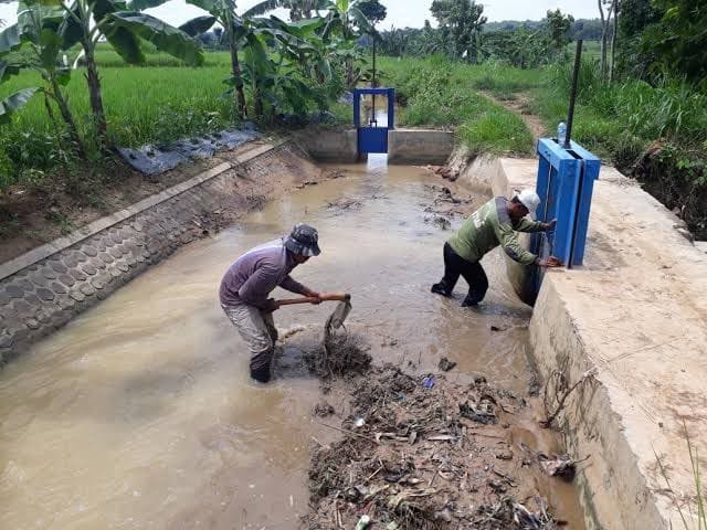 Para Pekerja OP SDA kembali bekerja setelah memperbaharui masa kontraknya (pu)