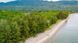 Kairatu Beach ,pantai berhutan Cemara (foto: SPN / yopi yacob )