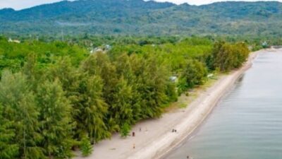 Kairatu Beach ,pantai berhutan Cemara (foto: SPN / yopi yacob )