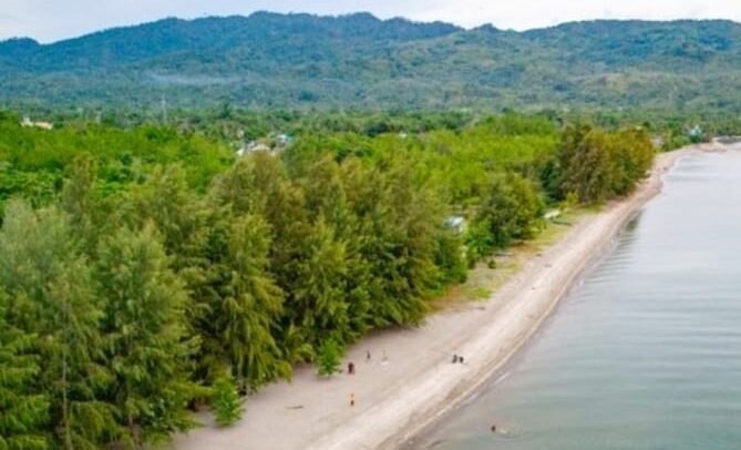 Kairatu Beach ,pantai berhutan Cemara (foto: SPN / yopi yacob )