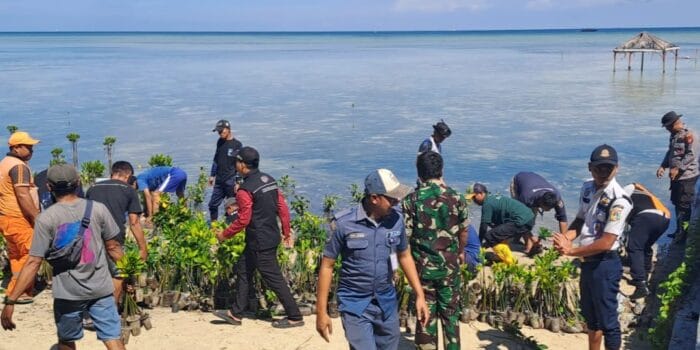 Dalam rangka memperingati HUT ke-106 Pemadam Kebakaran dan Penyelamatan (Damkar), sejumlah instansi di Pulau Pari berkolaborasi menanam sebanyak 2.500 bibit pohon mangrove di area Pantai Bintang.