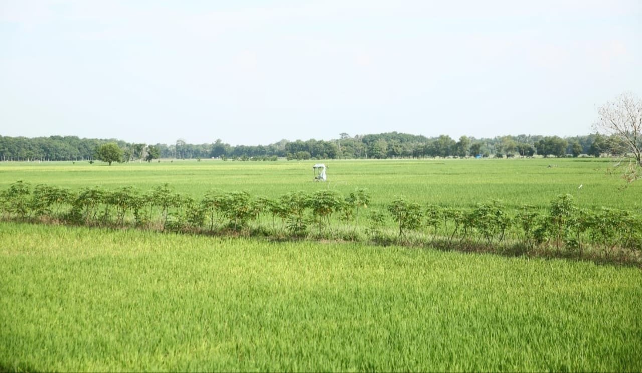 Sawah sebagai sumber pangan ( foto : birkom pu)