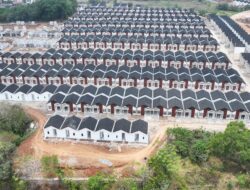 Dukung Ketahanan dan Swasembada Pangan, Menteri PKP Tolak Lahan Sawah Untuk Perumahan