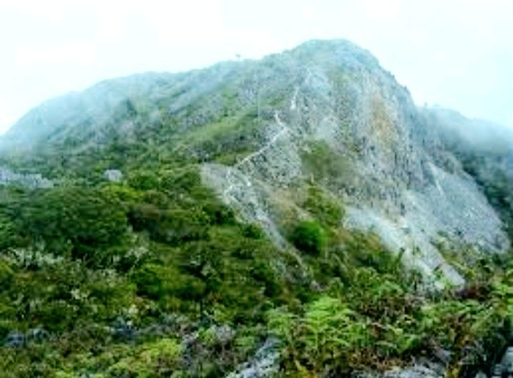 Jalur Pendakian Gunung Binaiya di Taman Nasional Manusela, Kabupaten Maluku Tengah (foto : Istimewa)