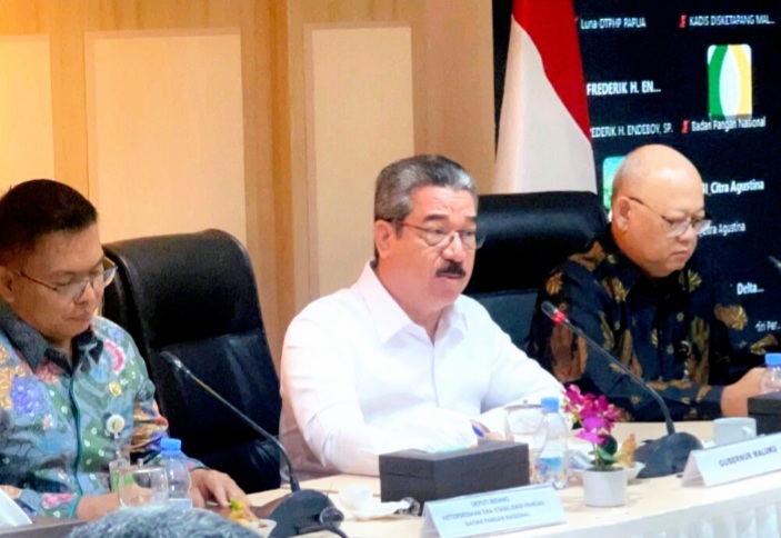 Gubernur Maluku Hendrik Lewerissa (tengah) Mengikuti Rapat Koordinasi Stabilisasi Pasokan dan Harga Pangan Wilayah Indonesia Timur di Jakarta