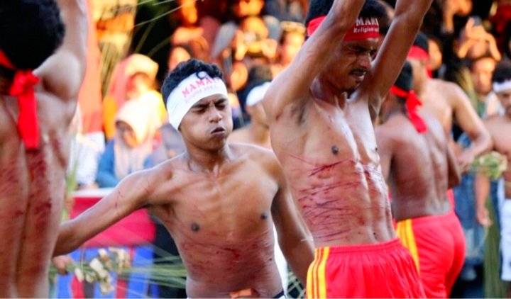Tradisi Pukul Sapi Lidi Negeri Mamala-Morella (foto : Instagram)