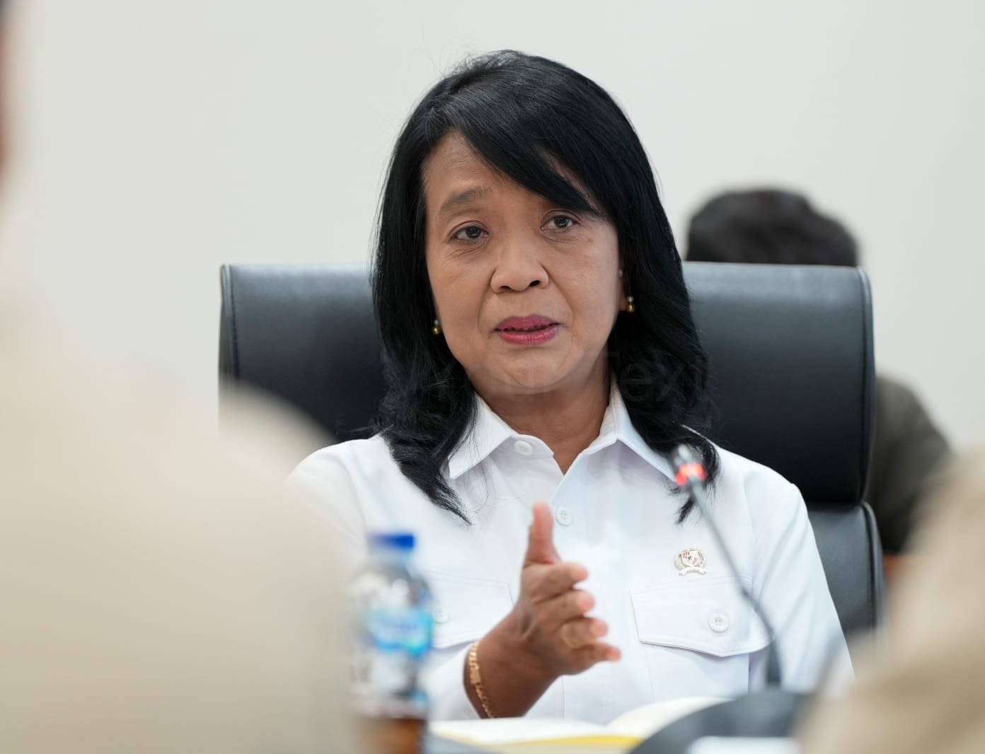 Wamen Diana saat menerima kunjungan pengurus Ikatan Arsitek Indonesia (IAI) ( foto: Birkom pu)