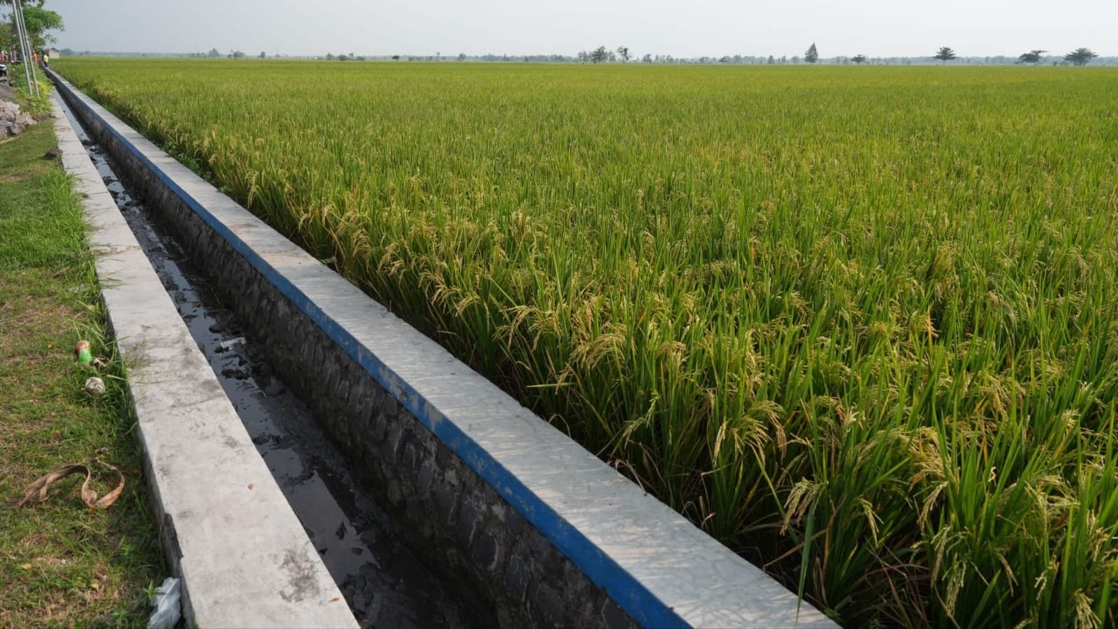 Daerah Irigasi di Ngawi diharapkan menjadi daerah lumbung padi di Indonesia ( foto: birkom pu)