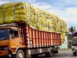 Truk Odol Rugikan Negara Rp43,45 Triliun per Tahun