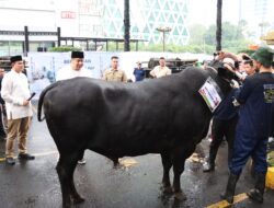 Menteri PKP Minta Birokrat Harus Mau Berkorban Untuk Rakyat