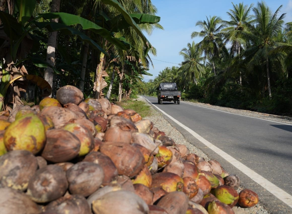 Jalan Inpres Daerah untuk mendukung swasembada pangan dan energi ( foto: birkom pu)