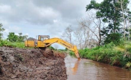 Daerah Irigasi Rawa (DIR )untuk meningkatkan efisiensi penyediaan air untuk irigasi sawah ( foto: birkom pu)