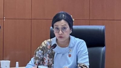Menteri Keuangan Sri Mulyani Indrawati ( foto: by instagram menkeu)