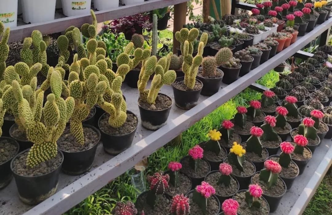 Berbagai jenis bunga dan hewan piaraan ada di flona 2025/(foto dispar)