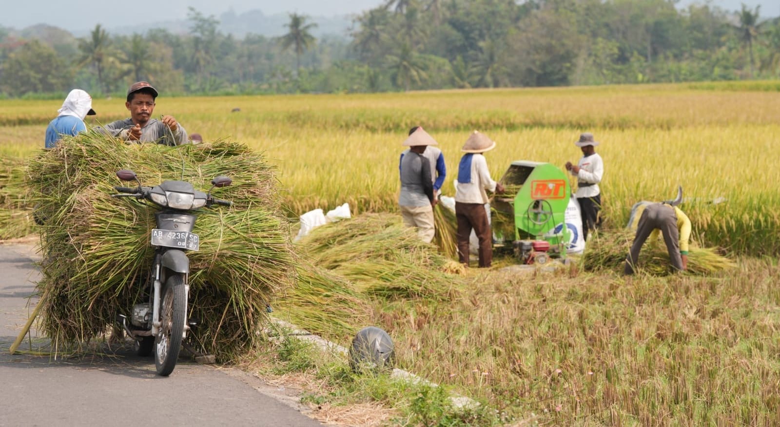 Bendungan Sermo merupakan salah satu bukti nyata bagaimana infrastruktur yang terawat dengan baik mampu menjadi tulang punggung ketahanan pangan. (Foto: birkom pu)