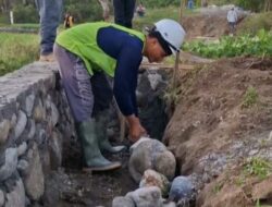 Adanya Ratusan Lokasi Padat Karya P3TGAI Kementerian PU Di NTB Banyak Manfaat Untuk Petani