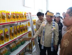 Kopdes Merah Putih Aeng Batu-Batu Sulsel Kopdes Yang Ideal