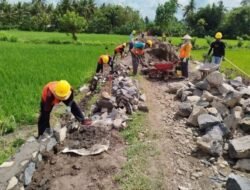 Melalui Program Padat Karya PISEW, Dorong Pertumbuhan Ekonomi dan Swasembada Pangan Desa