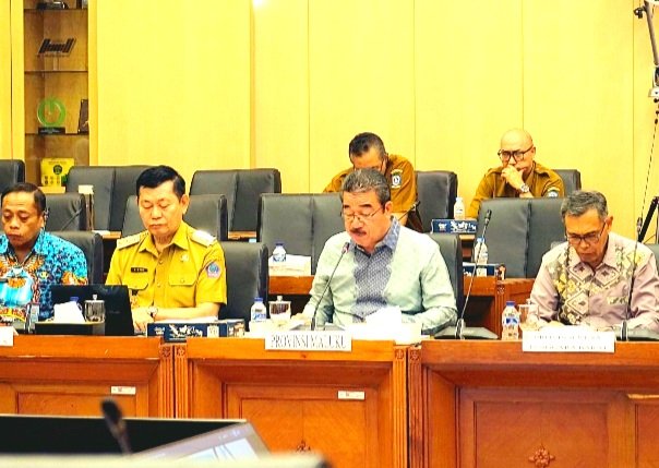 Gubernur Maluku Hendrik Lewerissa Dalam Rapat Pansus RUU Kepulauan di DPR RI (Foto : Istimewa)