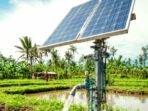 Jaringan Irigasi Air Tanah Tenaga Surya