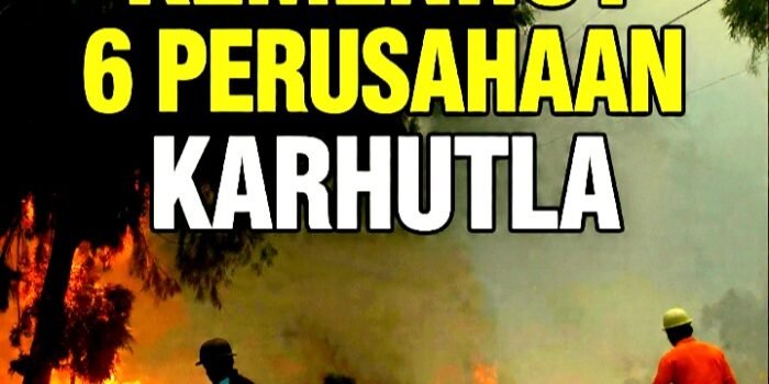 Kemenhut Sanksi 6 Perusahaan Karhutla