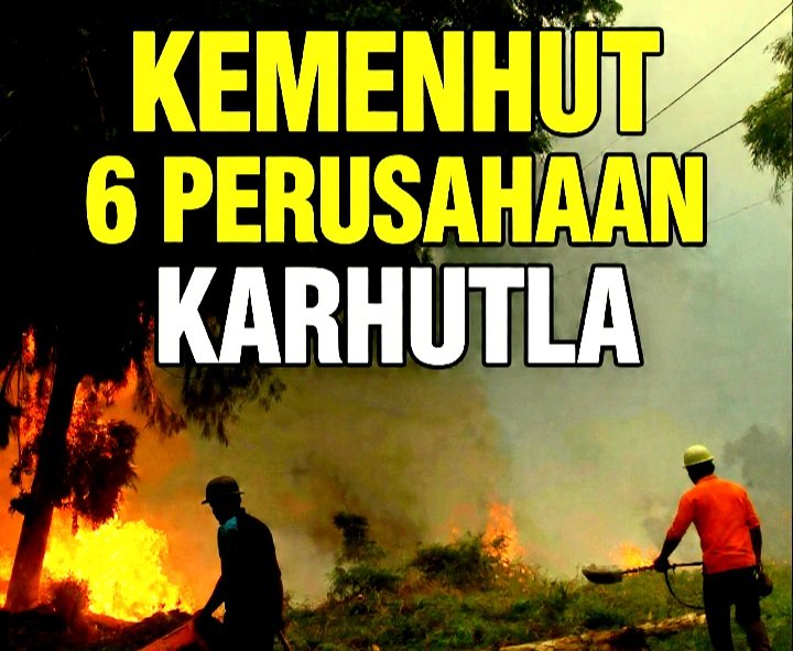 Kemenhut Sanksi 6 Perusahaan Karhutla