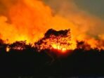 Kabupaten Puncak Provinsi Papua Tengah Hadapi Karhula serta Fenomena Hujan Es