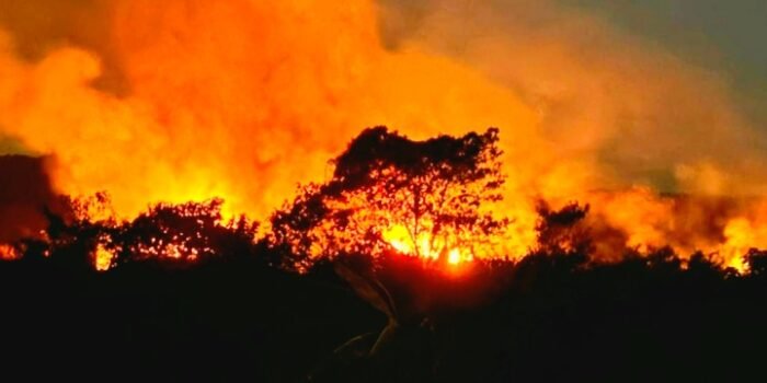 Kabupaten Puncak Provinsi Papua Tengah Hadapi Karhula serta Fenomena Hujan Es