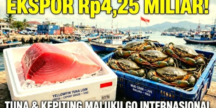 30 Ton Tuna dan Kepiting Bakau Maluku Senilai Rp4,25 Miliar Diekspor ke Amerika, Vietnam, Singapura, Jepang.