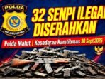 Polda Maluku Utara Terima 32 Senpi Ilegal dan 358 Amunisi Secara Sukarela Dari Masyarakat Halmahera dan Morotai. Kapolda Irjen Arif Budiman Apresiasi Kesadaran Kamtibmas. (Ilustrasi Senjata Ilegal)