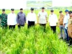Menteri PU Dody Hanggodo (Tengah) Ketika Meninjau Kawasan Sentra Swasembada Pangan, Energi, dan Air Nasional (KSPEAN) Wanam, Merauke, Papua Selatan Menyatakan Kementerian PU Siapkan Tujuh Sumur Dalam dan 160 Ribu Meter Kubik Air Rawa Perkuat Irigasi KSPEAN Wanam Jelang Panen Raya Perdana November 2026.