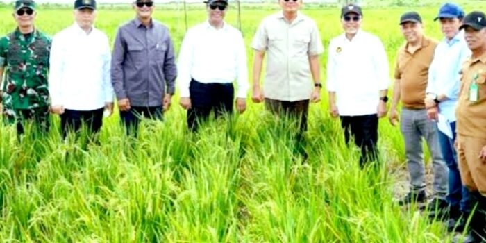 Menteri PU Dody Hanggodo (Tengah) Ketika Meninjau Kawasan Sentra Swasembada Pangan, Energi, dan Air Nasional (KSPEAN) Wanam, Merauke, Papua Selatan Menyatakan Kementerian PU Siapkan Tujuh Sumur Dalam dan 160 Ribu Meter Kubik Air Rawa Perkuat Irigasi KSPEAN Wanam Jelang Panen Raya Perdana November 2026.
