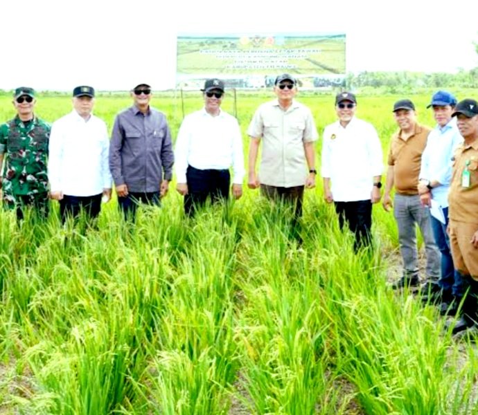 Screenshot_20261010-090541_Google Menteri PU Dody Hanggodo (Tengah) Ketika Meninjau Kawasan Sentra Swasembada Pangan, Energi, dan Air Nasional (KSPEAN) Wanam, Merauke, Papua Selatan Menyatakan Kementerian PU Siapkan Tujuh Sumur Dalam dan 160 Ribu Meter Kubik Air Rawa Perkuat Irigasi KSPEAN Wanam Jelang Panen Raya Perdana November 2026.