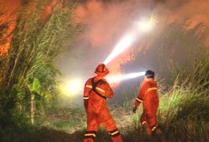 Screenshot_20261025-112507_Google Palangka Raya darurat karhutla 24 Oktober 2026, ISPU 1.247 berbahaya, jarak pandang 100 meter, 20.108 hektare lahan terbakar di Kalteng, 333.470 kasus ISPA.