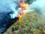BNPB Mencatat 19.708 Titik Api Karhutla Hampir 20 Ribu di Indonesia Hingga 23 Okt 2026. Luas Lahan Terbakar 41.554 Ha, 26.681 Ha Belum Padam. Kalteng Terparah 13.297 Titik.