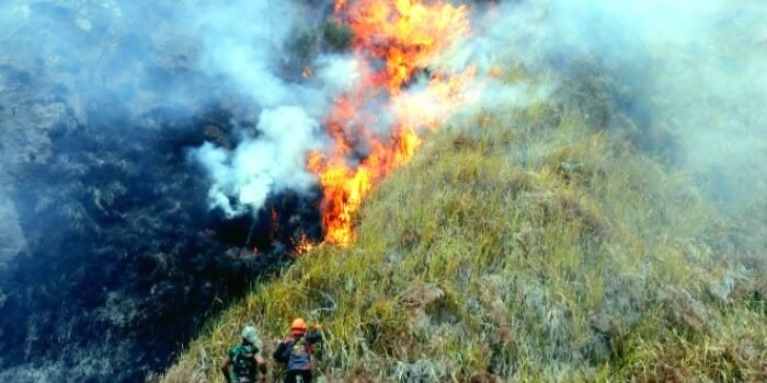 BNPB Mencatat 19.708 Titik Api Karhutla Hampir 20 Ribu di Indonesia Hingga 23 Okt 2026. Luas Lahan Terbakar 41.554 Ha, 26.681 Ha Belum Padam. Kalteng Terparah 13.297 Titik.