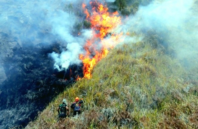 BNPB Mencatat 19.708 Titik Api Karhutla Hampir 20 Ribu di Indonesia Hingga 23 Okt 2026. Luas Lahan Terbakar 41.554 Ha, 26.681 Ha Belum Padam. Kalteng Terparah 13.297 Titik.